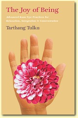 The Joy of Being, Author Tarthang Tulku | Publisher: Dharma Publishing International, ISBN-13: 978-0-89800-388-8